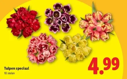 Aanbieding: Tulpen speciaal