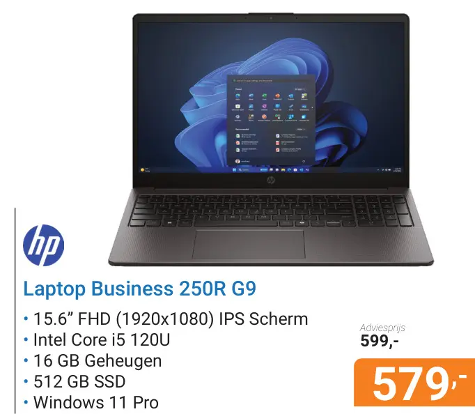 Aanbieding: Laptop Business 250R G9