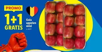 Aanbieding: Gala appelen mini