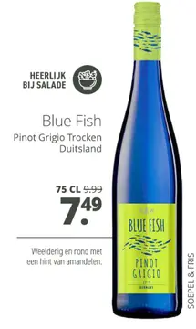 Aanbieding: Blue Fish Pinot Grigio Trocken