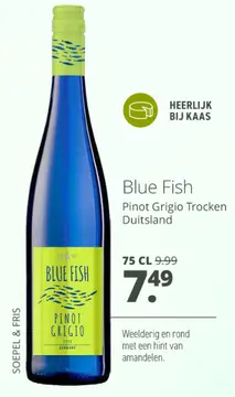 Aanbieding: Blue Fish Pinot Grigio Trocken