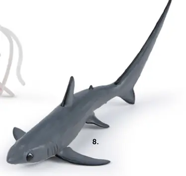 Promotie: Blue Shark