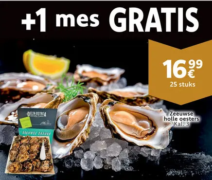 Promotie: Zeeuwse holle oesters