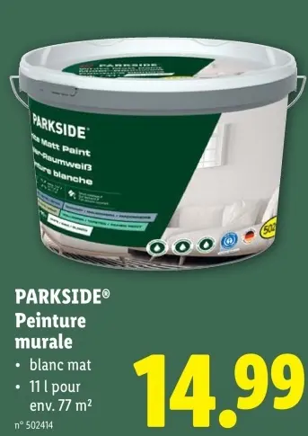 Offre: Peinture murale
