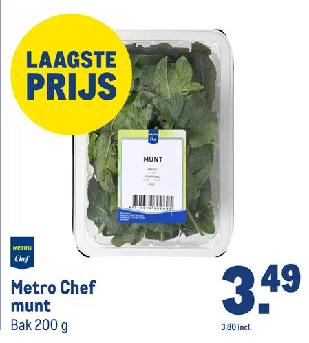 Aanbieding: munt