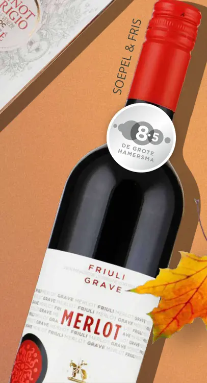 Aanbieding: Sartori Merlot Grave Friuli