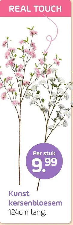 Aanbieding: Real touch