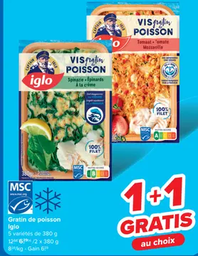 Offre: Gratin de poisson