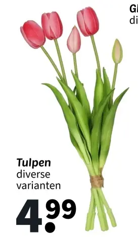Promotie: Tulpen