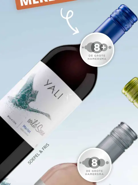 Aanbieding: Yali Wild Swan Merlot