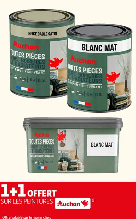 Promotie: Peinture "Toutes Pièces"