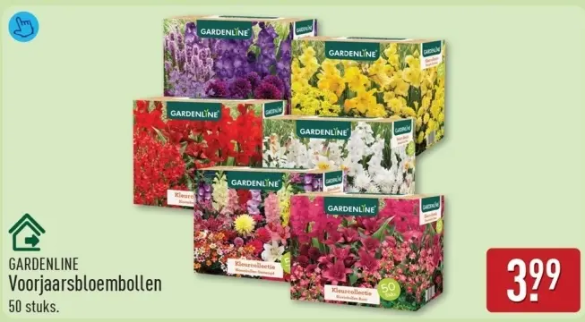 Aanbieding: Voorjaarsbloembollen