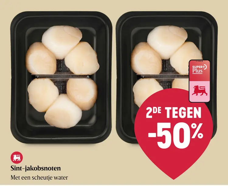 Promotie: Sint-Jacobsnoten
