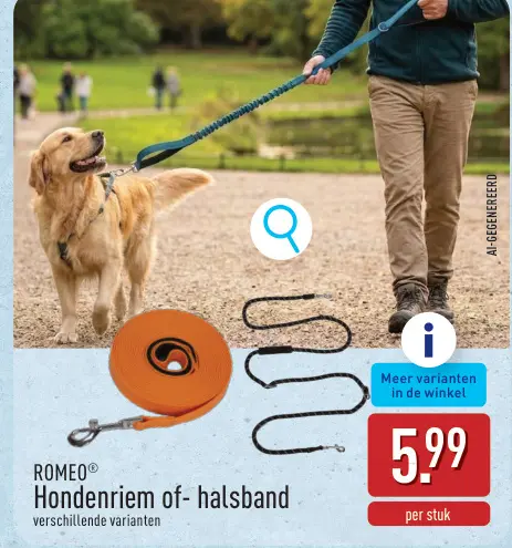 Promotie: Hondenriem of - halsband