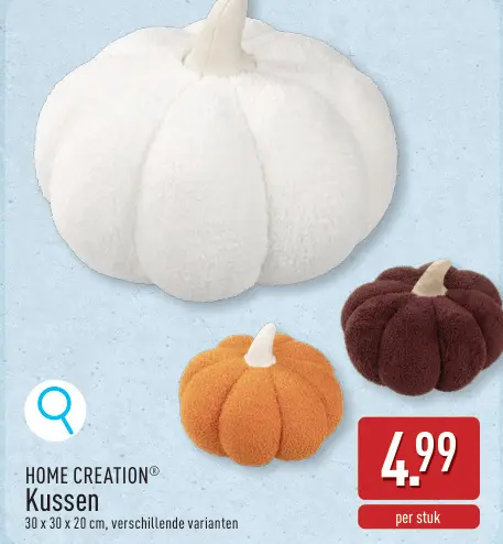 Promotie: Kussen