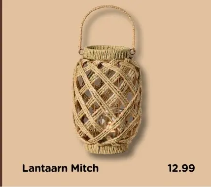 Aanbieding: Lantaarn Mitch