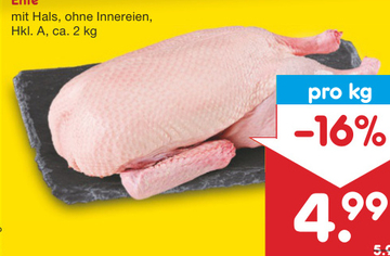 Aanbieding: Eend