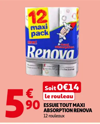 Offre: Essuie tout maxi absorption