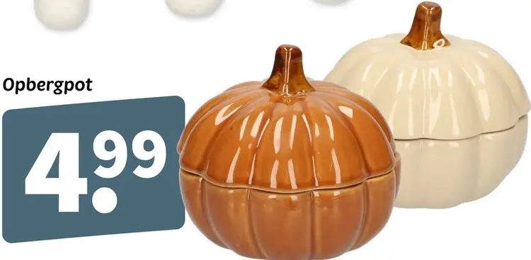 Promotie: Opbergpot