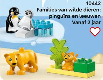 Aanbieding: Families van wilde dieren: pinguïns en leeuwen 10442
