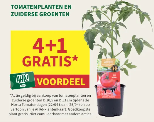 Promotie: Tomatenplanten en Zuiderse Groenten