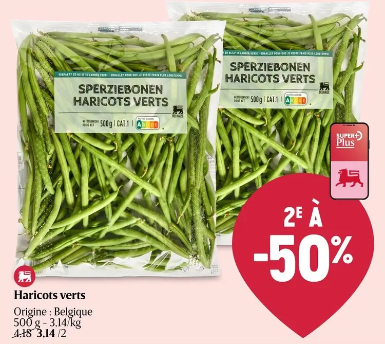Offre: Haricots verts
