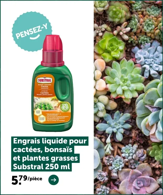 Offre: Engrais liquide pour cactées, bonsaïs et plantes grasses