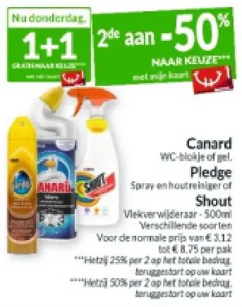 Promotie: Canard, Pledge of Shout