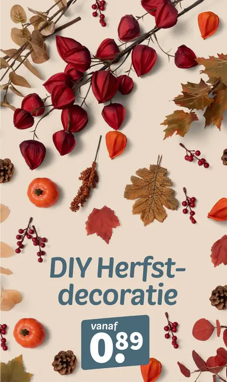 Promotie: DIY Herfstdecoratie