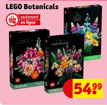 Offre: LEGO Botanicals