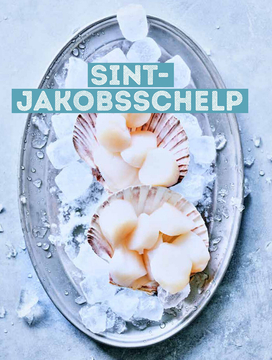 Aanbieding: SINT- JAKOBSSCHELP