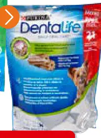 Offre: Dentalife