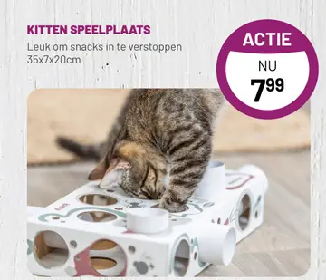 Aanbieding: KITTEN SPEELPLAATS