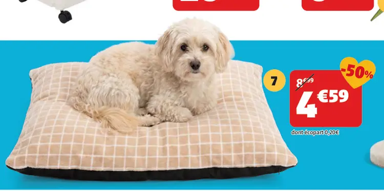 Offre: Matelas pour chien/chat