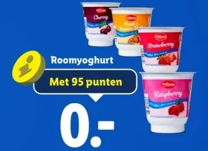 Aanbieding: Roomyoghurt