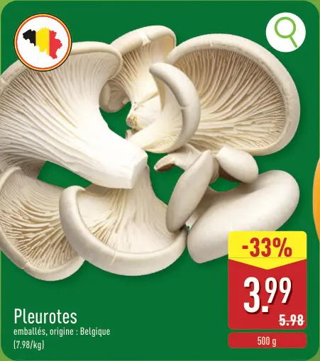 Offre: Pleurotes