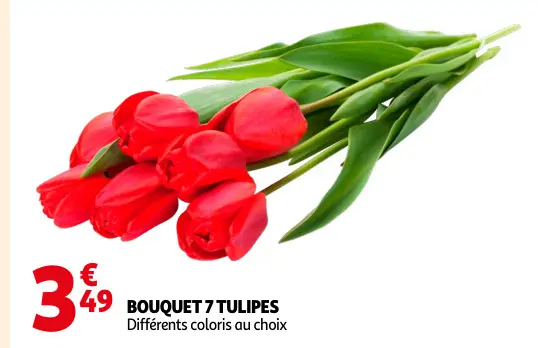 Promotie: Bouquet 7 tulipes