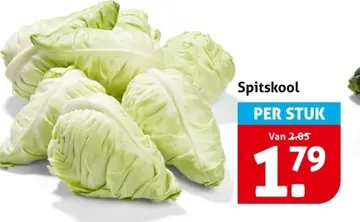 Aanbieding: Spitskool