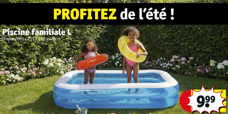 Offre: Piscine familiale L