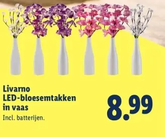 Aanbieding: LED-bloesemtakken in vaas