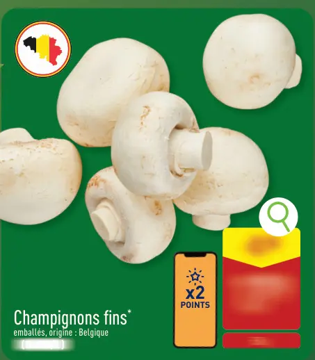 Offre: Champignons fins