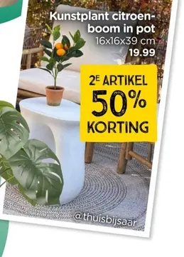 Aanbieding: Kunstplant citroenboompje - 38 cm