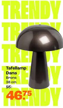 Aanbieding: Tafellamp Dana