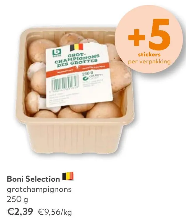 Aanbieding: Grotchampignons