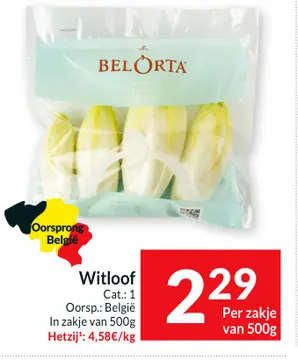 Aanbieding: Witloof