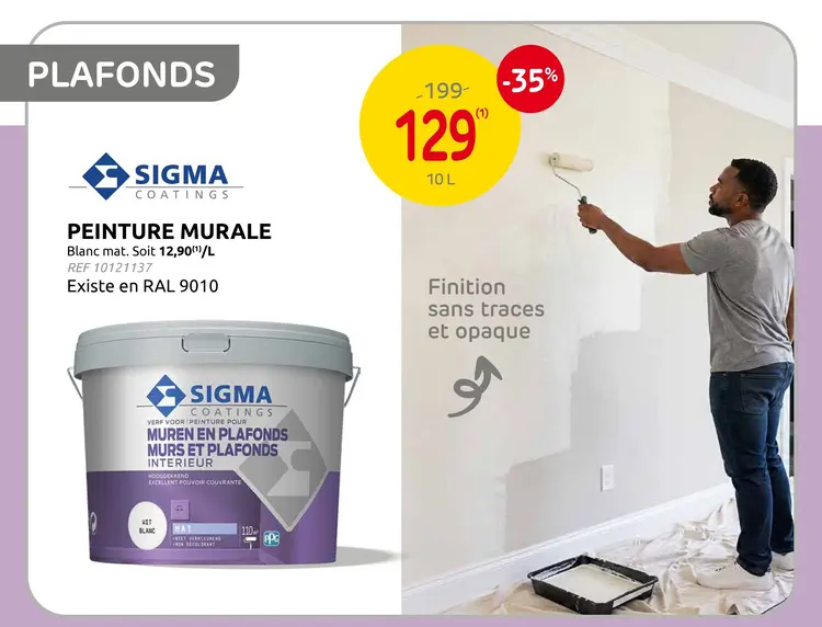Offre: Peinture murale