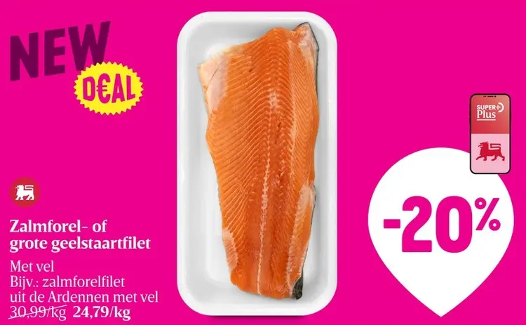 Promotie: Zalmforel- of grote geelstaartfilet