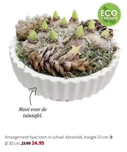 Promotie: Arrangement hyacinten in schaal