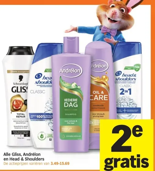 Aanbieding: Gliss, Andrélon en Head & Shoulders