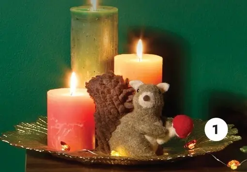 Aanbieding: Eekhoorn met eikel
